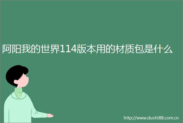 阿阳我的世界114版本用的材质包是什么