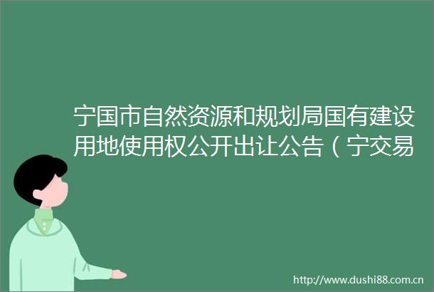 宁国市自然资源和规划局国有建设用地使用权公开出让公告（宁交易国告字〔2025〕06号）