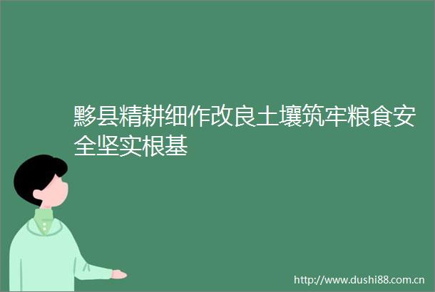 黟县精耕细作改良土壤筑牢粮食安全坚实根基