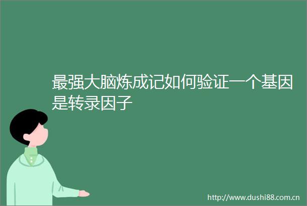 最强大脑炼成记如何验证一个基因是转录因子