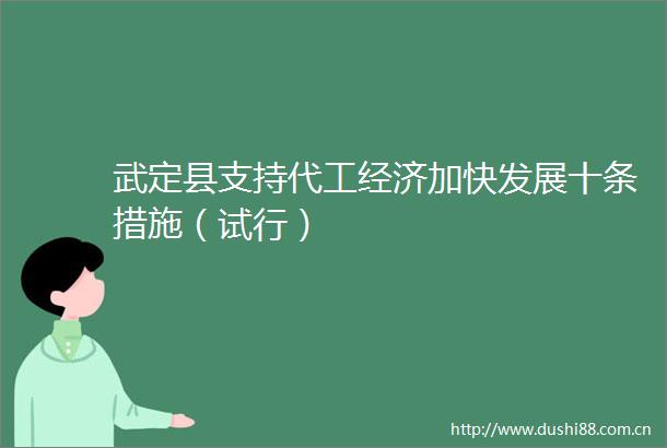 武定县支持代工经济加快发展十条措施（试行）