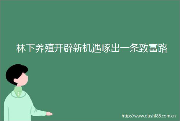 林下养殖开辟新机遇啄出一条致富路