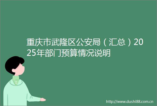 重庆市武隆区局（汇总）2025年部门预算情况说明