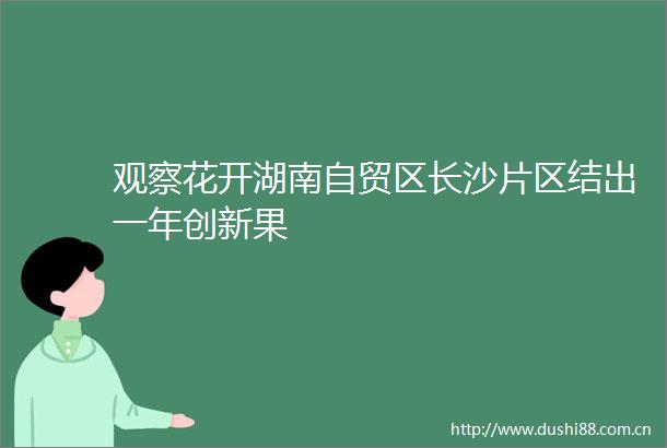 观察花开湖南自贸区长沙片区结出一年创新果
