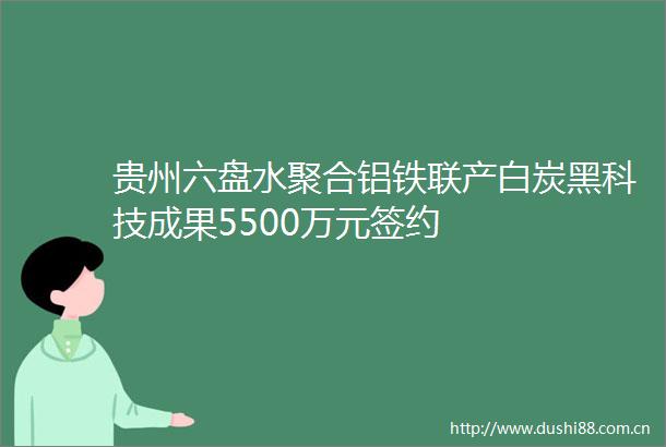 贵州六盘水聚合铝铁联产白炭黑科技成果5500万元签约