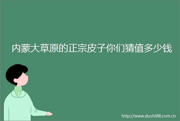 内蒙大草原的正宗皮子你们猜值多少钱