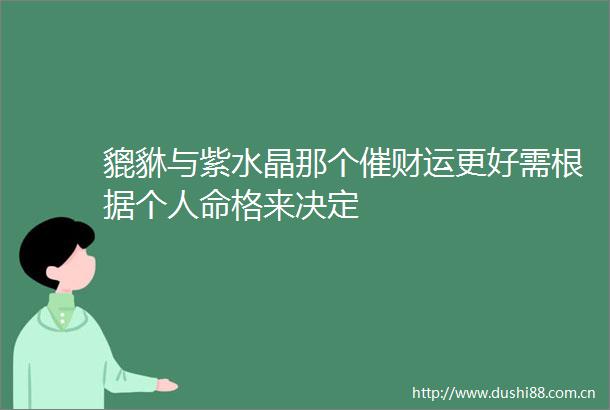 貔貅与紫水晶那个催财运更好需根据个格来决定