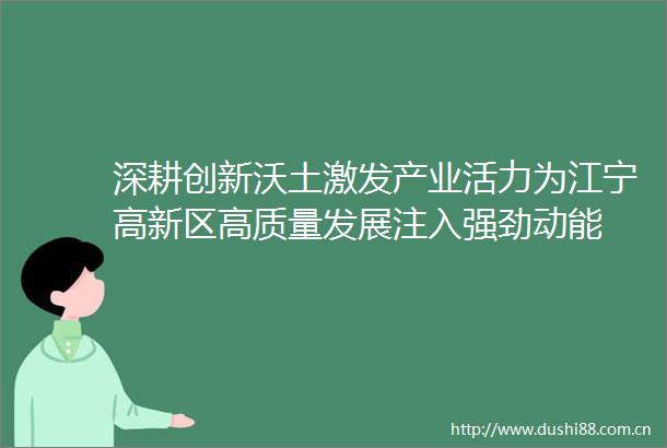 深耕创新沃土激发产业活力为江宁高新区高质量发展注入强劲动能