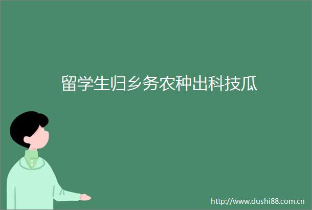 留学生归乡务农种出科技瓜