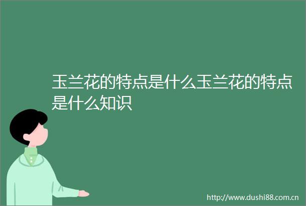 玉兰花的特点是什么玉兰花的特点是什么知识
