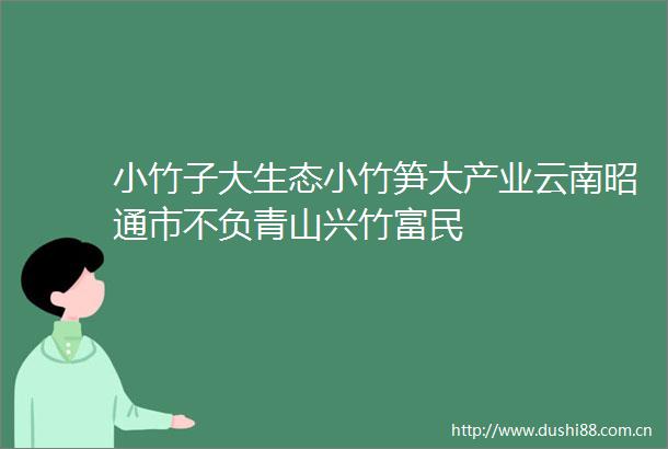 小竹子大生态小竹笋大产业云南昭通市不负青山兴竹富民