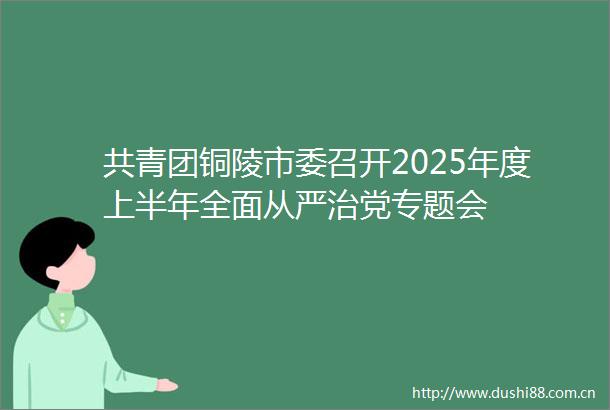共青团铜陵市委召开2025年度上半年全面从严治党专题会