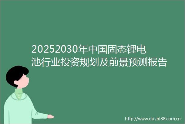 20252030年固态锂电池行业投资规划及前景预测报告