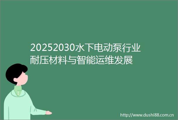 20252030水下电动泵行业耐压材料与智能运维发展