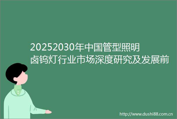 20252030年管型照明卤钨灯行业市场深度研究及发展前景投资可行性分析报告