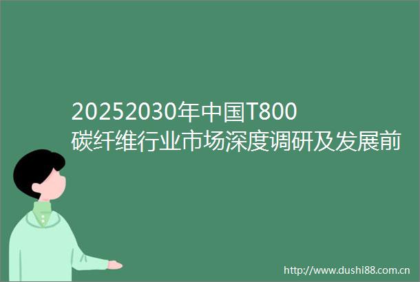 20252030年T800碳纤维行业市场深度调研及发展前景预测报告