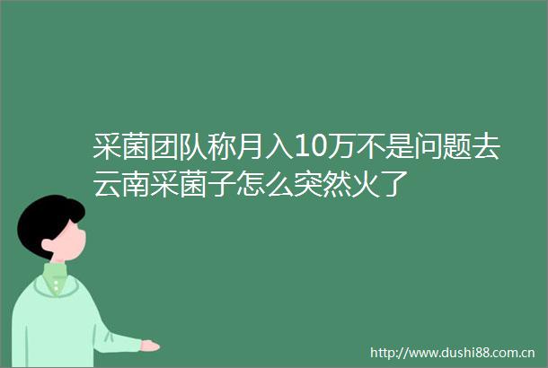 采菌团队称月入10万不是问题去云南采菌子怎么突然火了
