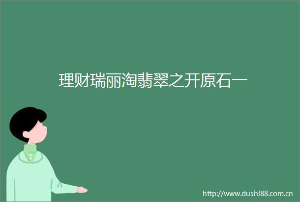 理财瑞丽淘翡翠之开原石一