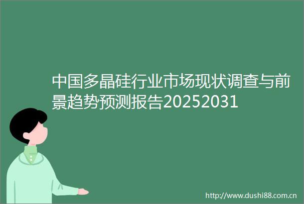 多晶硅行业市场现状调查与前景趋势预测报告20252031年