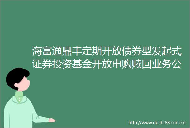 海富通鼎丰定期开放债券型发起式证券投资基金开放申购赎回业务公告