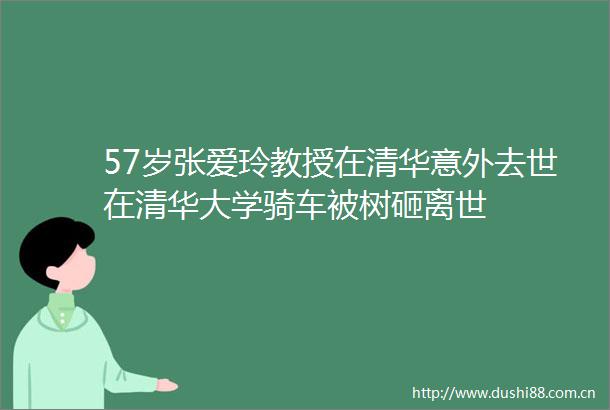 57岁张爱玲教授在清华意外去世在清华大学骑车被树砸离世