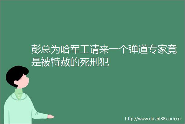 彭总为哈军工请来一个弹道专家竟是被特赦的死刑犯