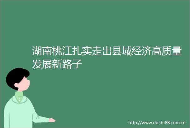 湖南桃江扎实走出县域经济高质量发展新路子