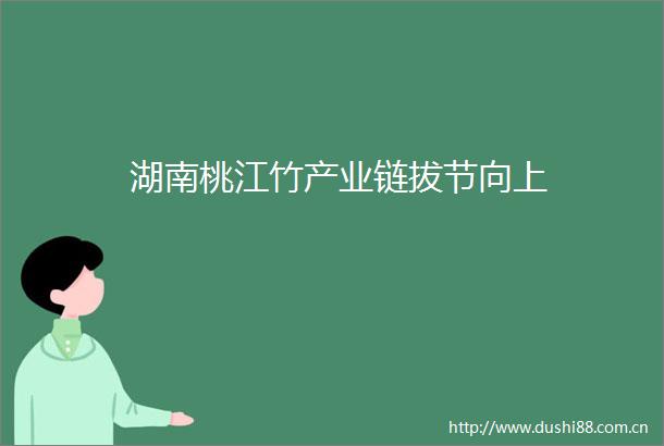 湖南桃江竹产业链拔节向上