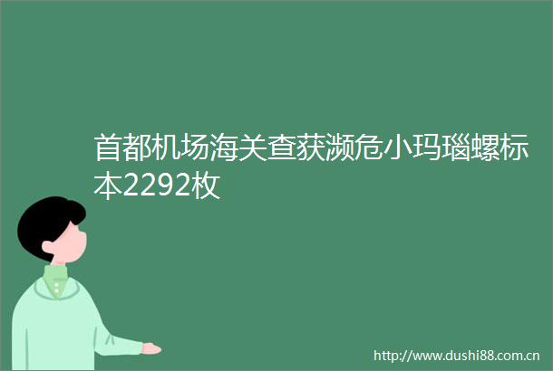 首都机场海关查获濒危小玛瑙螺标本2292枚