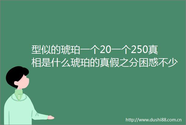 型似的琥珀一个20一个250真相是什么琥珀的真假之分困惑不少人