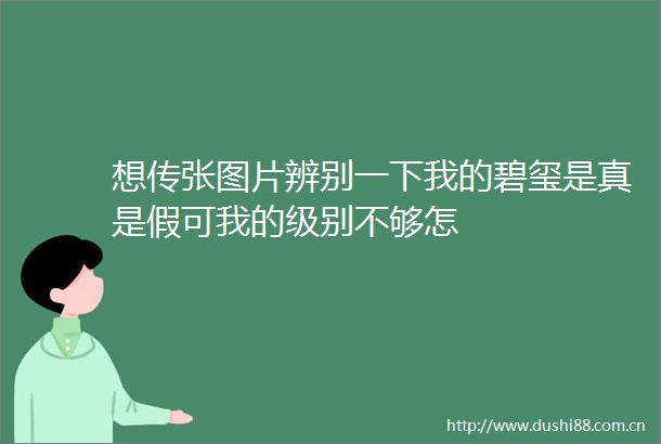 想传张图片辨别一下我的碧玺是真是假可我的级别不够怎