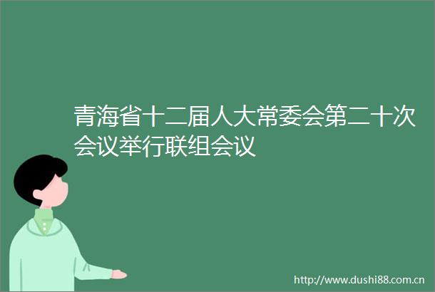 青海省十二届人大常委会第二十次会议举行联组会议