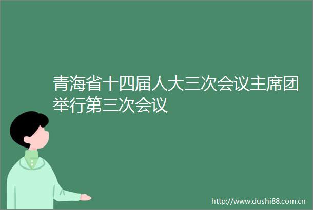 青海省十四届人大三次会议团举行第三次会议