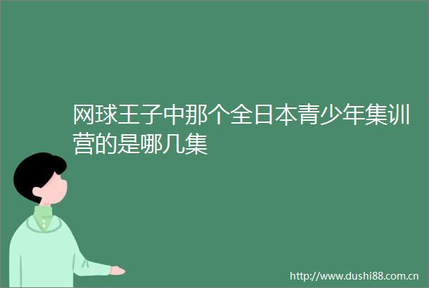 网球王子中那个全青少年集训营的是哪几集