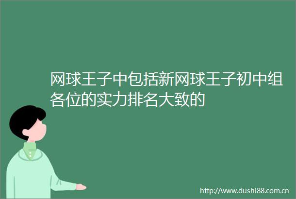 网球王子中包括新网球王子初中组各位的实力排名大致的