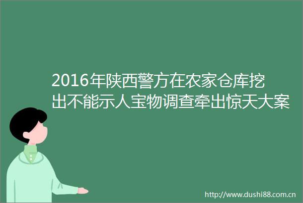 2016年陕西警方在农家仓库挖出不能示人宝物调查牵出惊天大案