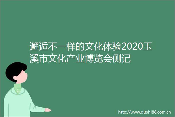 邂逅不一样的文化体验2020玉溪市文化产业博览会侧记