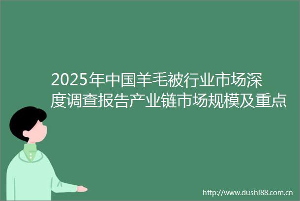 2025年羊毛被行业市场深度调查报告产业链市场规模及重点企业