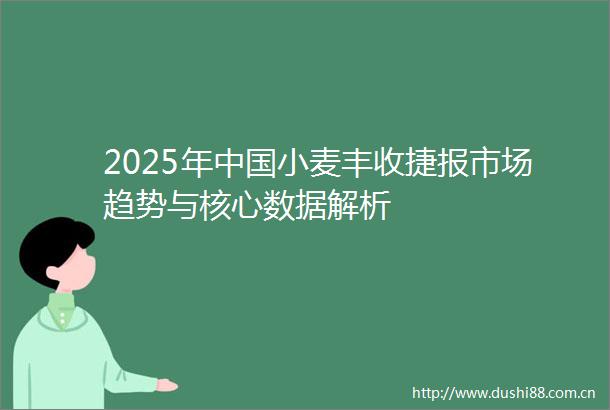 2025年小麦丰收捷报市场趋势与核心数据解析