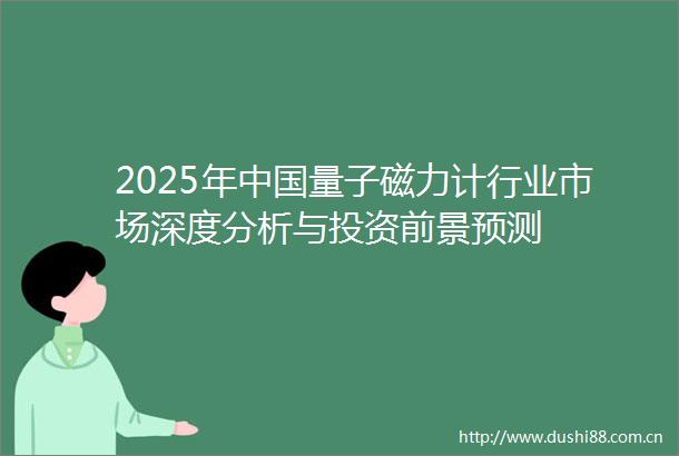 2025年量子磁力计行业市场深度分析与投资前景预测