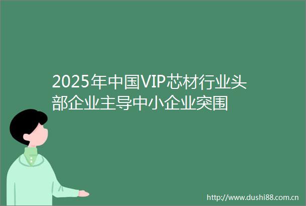 2025年VIP芯材行业头部企业主导中小企业突围