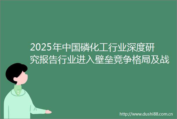 2025年磷化工行业深度研究报告行业进入壁垒竞争格局及战略咨询