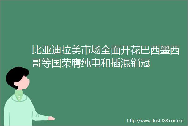 比亚迪拉美市场全面开花巴西墨西哥等国荣膺纯电和插混销冠