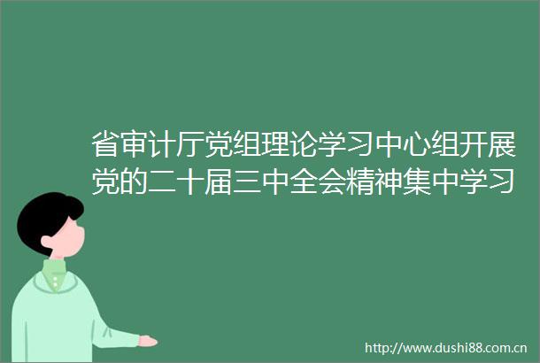 省审计厅党组理论学习中心组开展党的二十届三中全会精神集中学习研讨