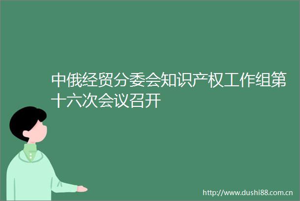 中俄经贸分委会知识产权工作组第十六次会议召开
