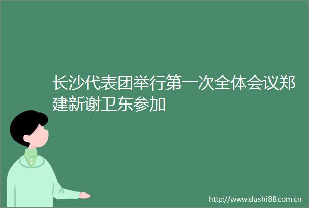 长沙代表团举行第一次全体会议郑建新谢卫东参加