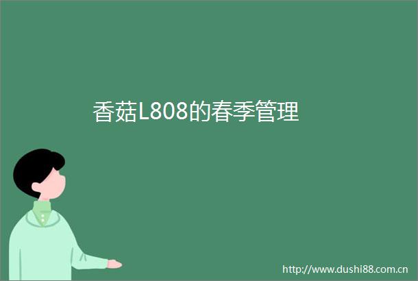 香菇L808的春季管理