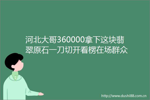 河北大哥360000拿下这块翡翠原石一刀切开看楞在场群众