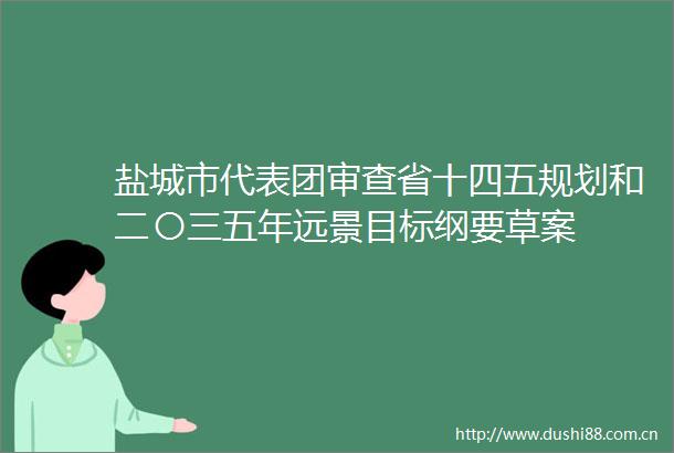 盐城市代表团审查省十四五规划和二〇三五年远景目标纲要草案