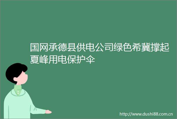 国网承德县供电公司绿色希冀撑起夏峰用电